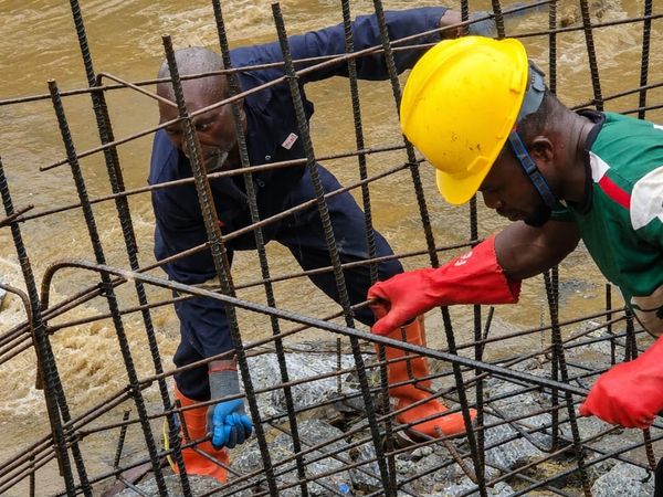 Riverbed Reinforcement Cage Assembly
